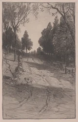 Su per la collina