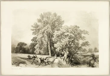 Abele e Quercia, da Il Parco e la Foresta