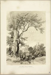 Faggio e Quercia (Frontespizio), da Il Parco e la Foresta