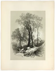 Ponte di Shipley, Devon, da Selezioni pittoresche