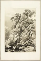 Olmo e Abeti, da Il Parco e la Foresta