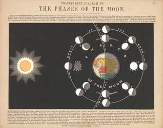 Diagramma trasparente delle fasi della luna