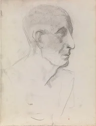 Testa antica