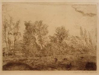 Raffica di vento al margine del bosco