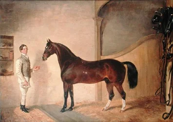 Cavaliere con cacciatore nella tenuta di Tredegar, Monmouthshire