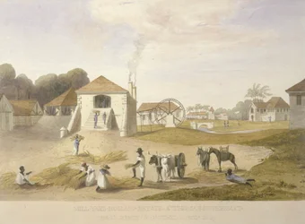 Cortile del mulino, Holland Estate, St. Thomas in the East