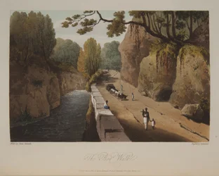 La passeggiata nella palude