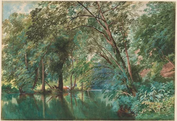 Alberi sul fiume Frome a Stapleton