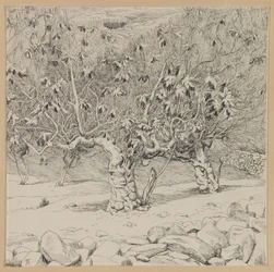 Fico, Valle di Hinnom, illustrazione da La vita di Nostro Signore Gesù Cristo