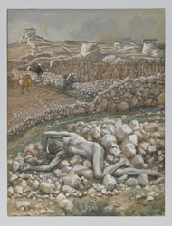Il figlio della vigna, illustrazione da 