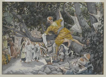 Zaccheo nel sicomoro in attesa del passaggio di Gesù, illustrazione da La vita di Nostro Signore Gesù Cristo, 1886-96