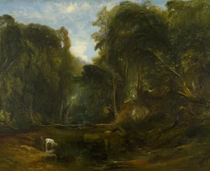 Valle dell