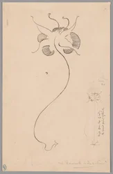 Farfalla (recto); Studio di farfalla (verso)