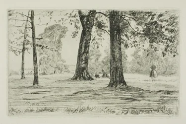 Parco di Greenwich