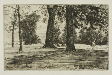 Parco di Greenwich