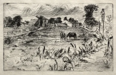 Paesaggio con cavallo