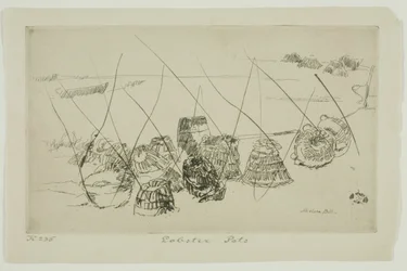 Trappole per Aragoste - Selsea Bill