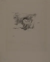 Studio di un cavallo