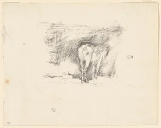 Studio di un Cavallo