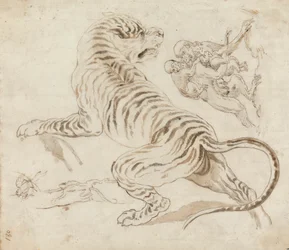 Studio per una tigre e scimmie