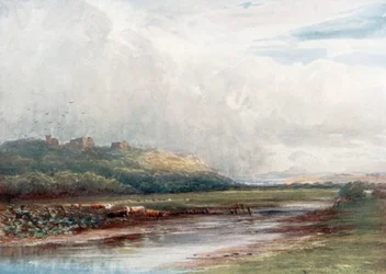 "Castello di Tutbury" (litografia a colori)