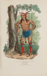 KAA-NUN-DER-WAAGUINSE-ZOO o il raccoglitore di bacche; un famoso capo Chippewa, da Il portafoglio aborigeno