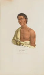 O-HYA-WA-NIM-CE-KEE o il Tuono Giallo; un capo Chippeway, da Il Portafoglio Aborigeno