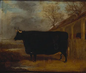Un toro nero vicino a una stalla, con un paesaggio esteso oltre