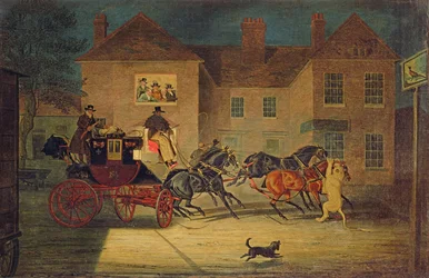 Immagine sconosciuta