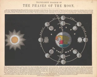 Le fasi della luna