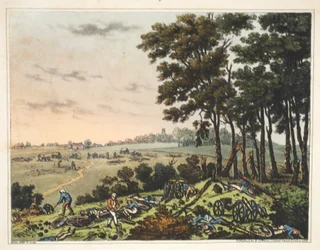 Castello di Hougoumont: Una vista del bosco che costeggia il castello