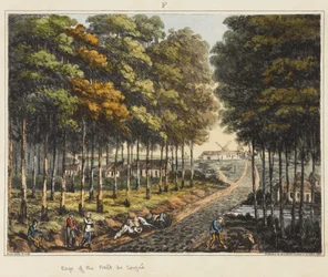 Bordo della Foresta di Soignes, da 