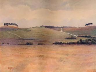 Chobham Common, 1911, 1914