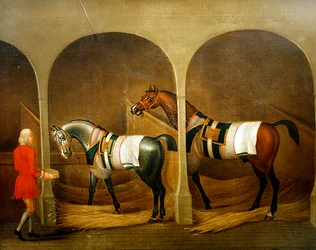 Un groom che nutre due cavalli in una stalla