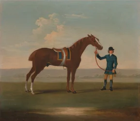 Uno dei quattro ritratti di cavalli - un cavallo castagno ( Old Partner) tenuto da uno stalliere: in piedi rivolto a destra, indossa una sella blu bordata d