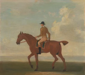 Uno dei quattro ritratti di cavalli - un cavallo da corsa castano con fantino: camminando verso sinistra; fantino in giacca giallo ocra