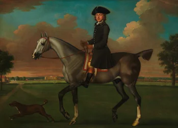 Ritratto di un cavaliere