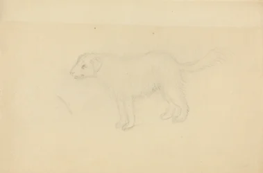 Un Cane