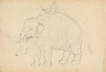 Elefante con Cavaliere