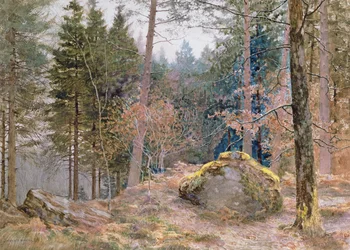 In un bosco gallese, inverno