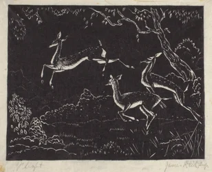 Volo