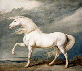 Adone, il cavallo preferito di re Giorgio III