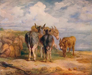 Asini, c1831