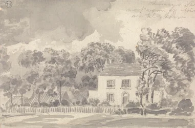 Casa tra gli alberi