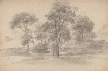 Paesaggio con alberi