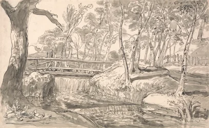 Paesaggio fluviale con cascata