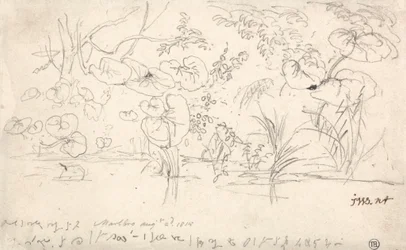 Studi di piante, 2 agosto 1815