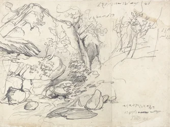 Studio di una montagna con alberi