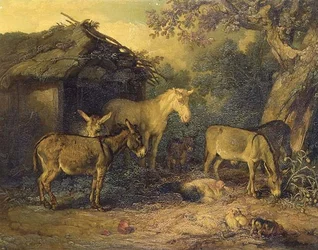 Immagine sconosciuta