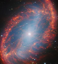 Uno sguardo ravvicinato a una galassia locale (NGC 2566)